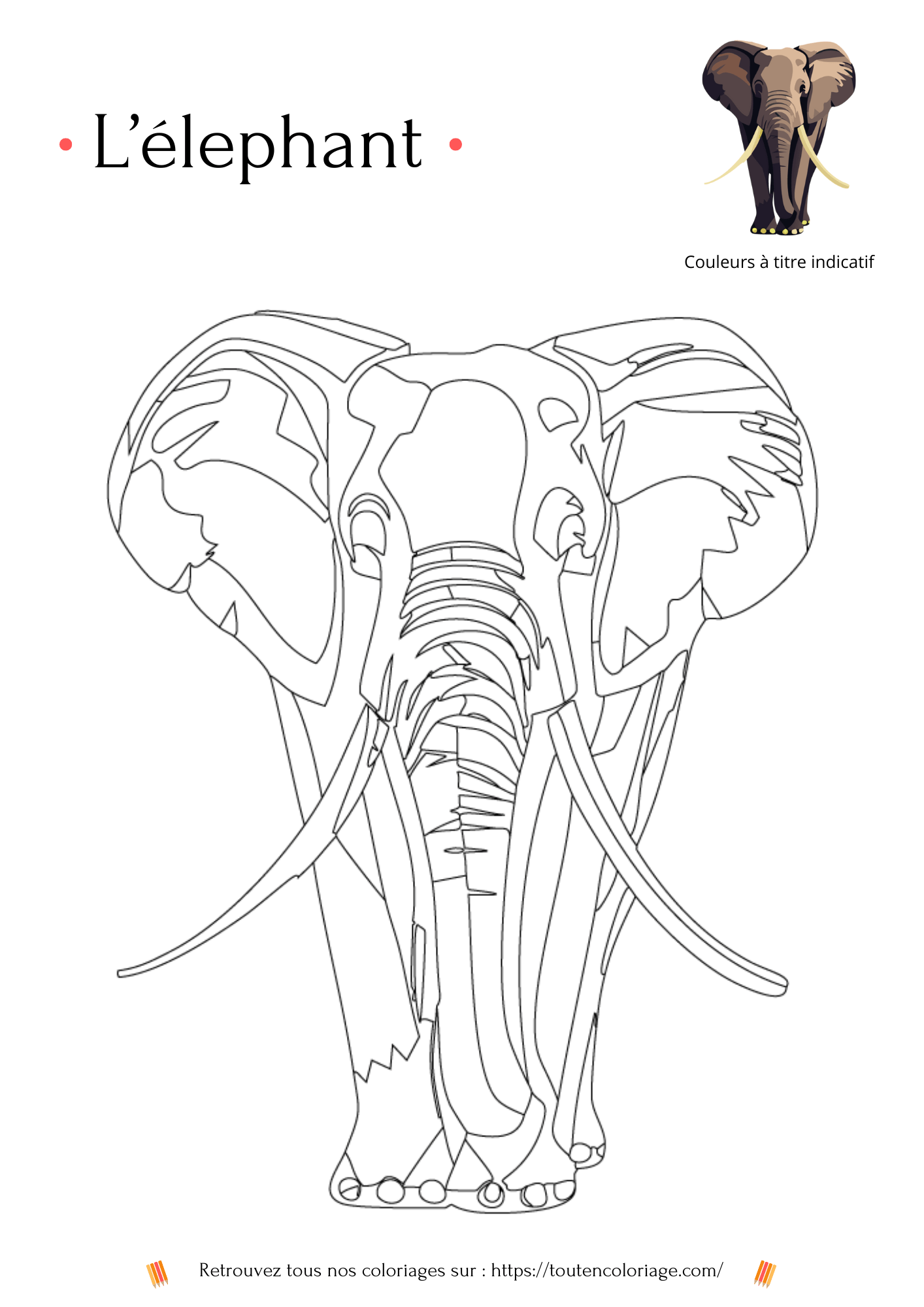 Dessin à colorier réaliste d'un magnifique éléphant issue de notre livre sur les animaux de la savane africaine.
