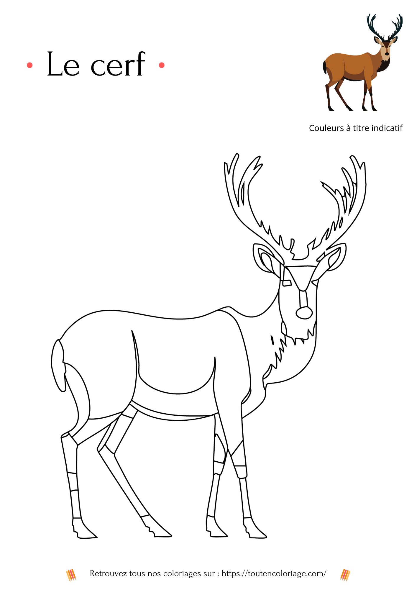 Dessin a colorier d'un cerf marron a retrouver dans notre livre sur les animaux de la foret