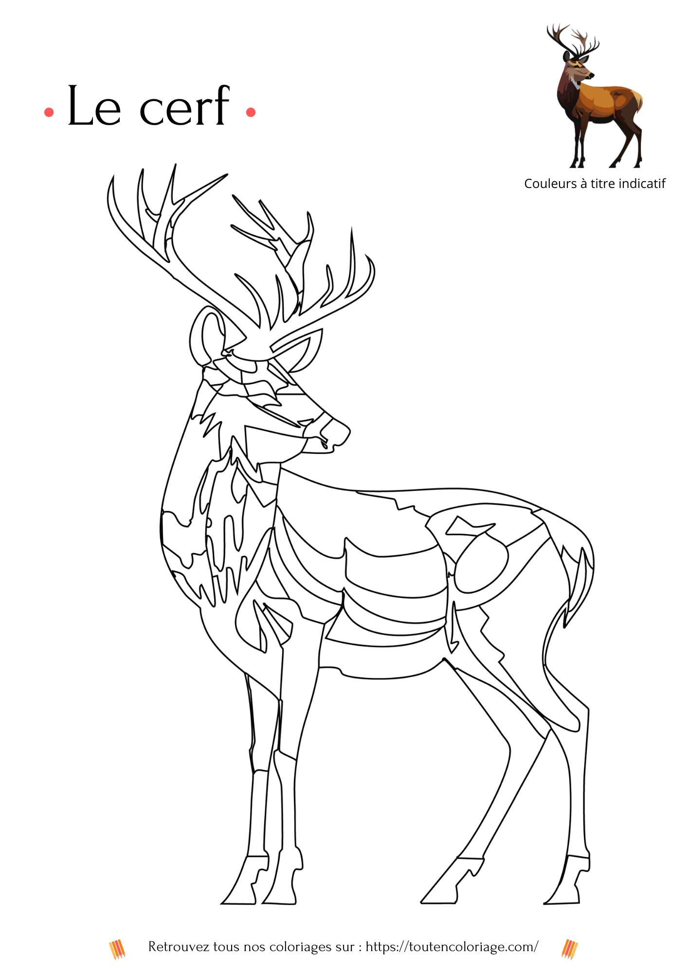 Dessin a colorier d'un Cerf issu de notre livre de coloriage sur les animaux de la foret. 