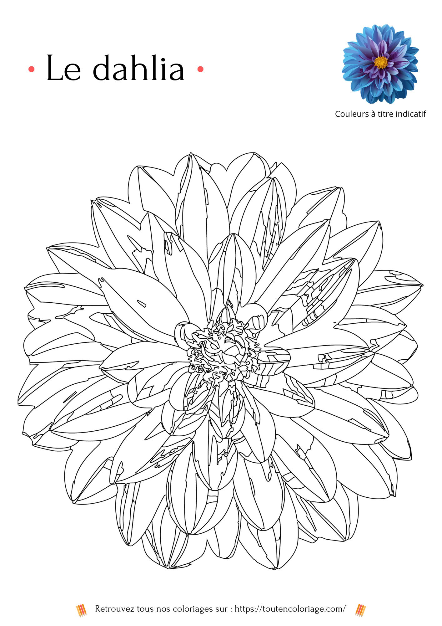 Dessina colorier et a imprimer d'un Dahlia bleu a retrouver dans notre livre de coloriages sur les fleurs.