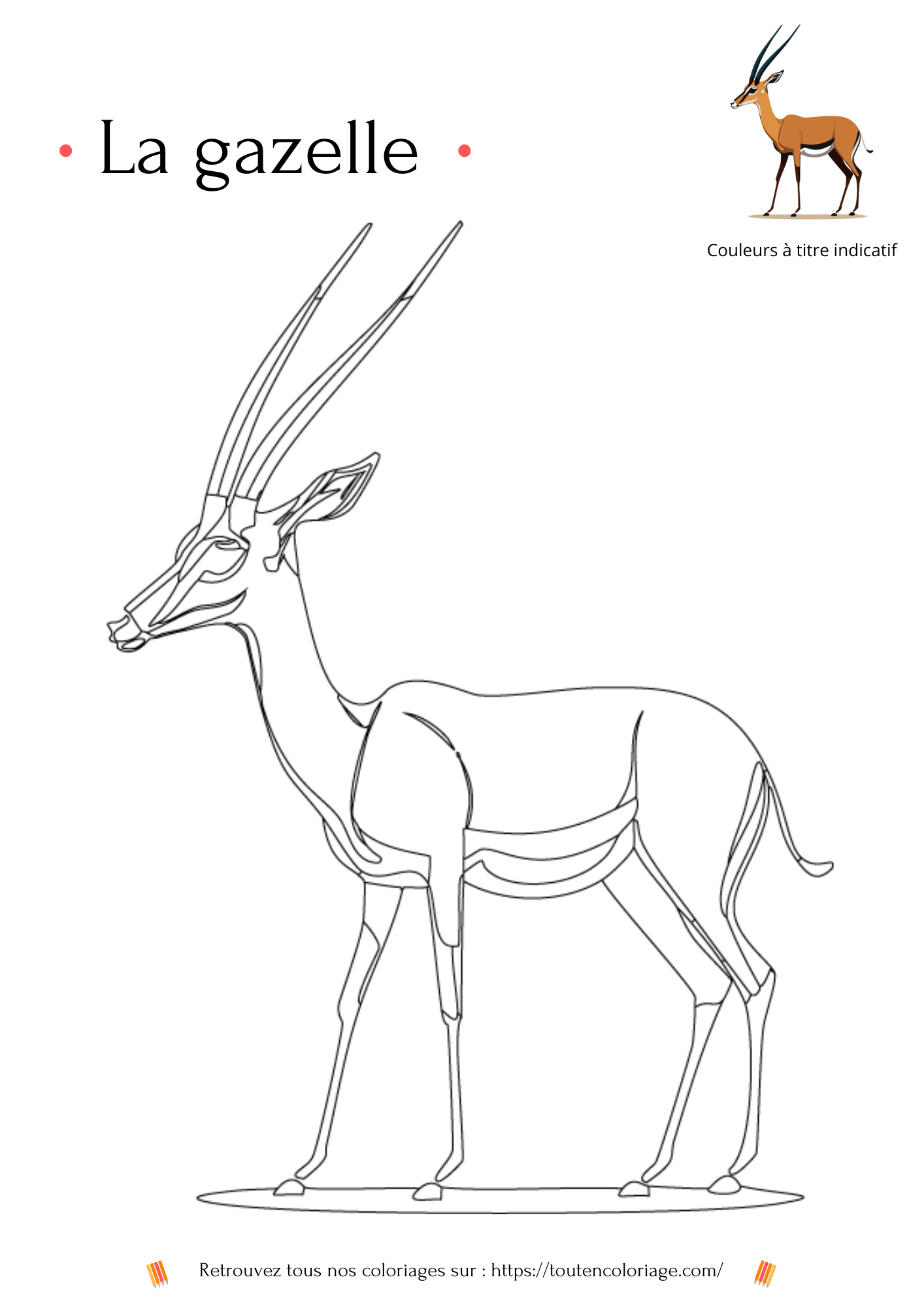 Dessin a colorier d'une Gazelle africaine a retrouver dans notre livre "les animaux de la savane"