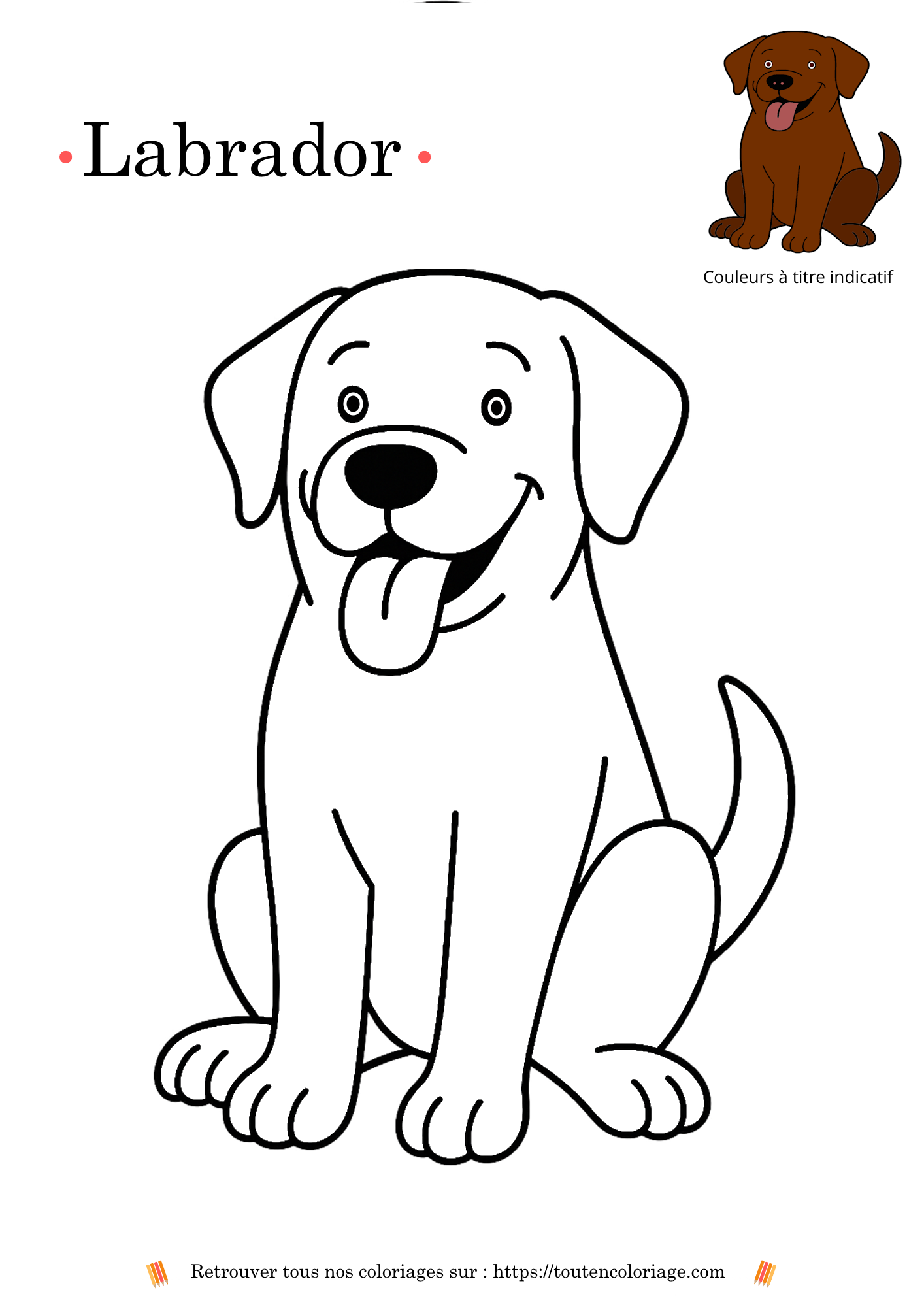 Dessin à colorier d’un labrador marron assis, activité ludique pour enfants