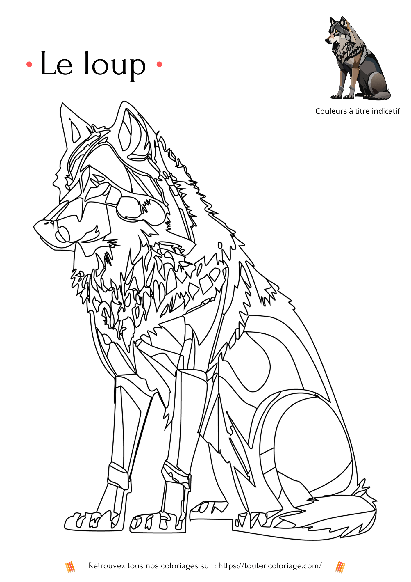 Coloriage a imprimer d'un superbe Loup assis de couleur grise et noire à retrouver dans notre livre des animaux de la forêt.