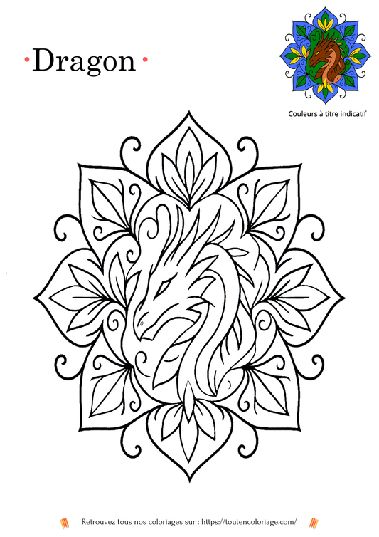 Dessin à colorier d'une tête de dragon style mandala