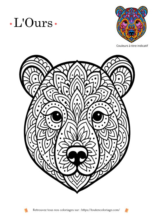 coloriage à imprimer d'un mandala représentant une tête d'ours