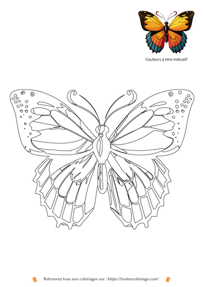 Coloriage a imprimer d'un papillon de couleur jaune et noire a retrouver dans notre livre de dessin a colorier