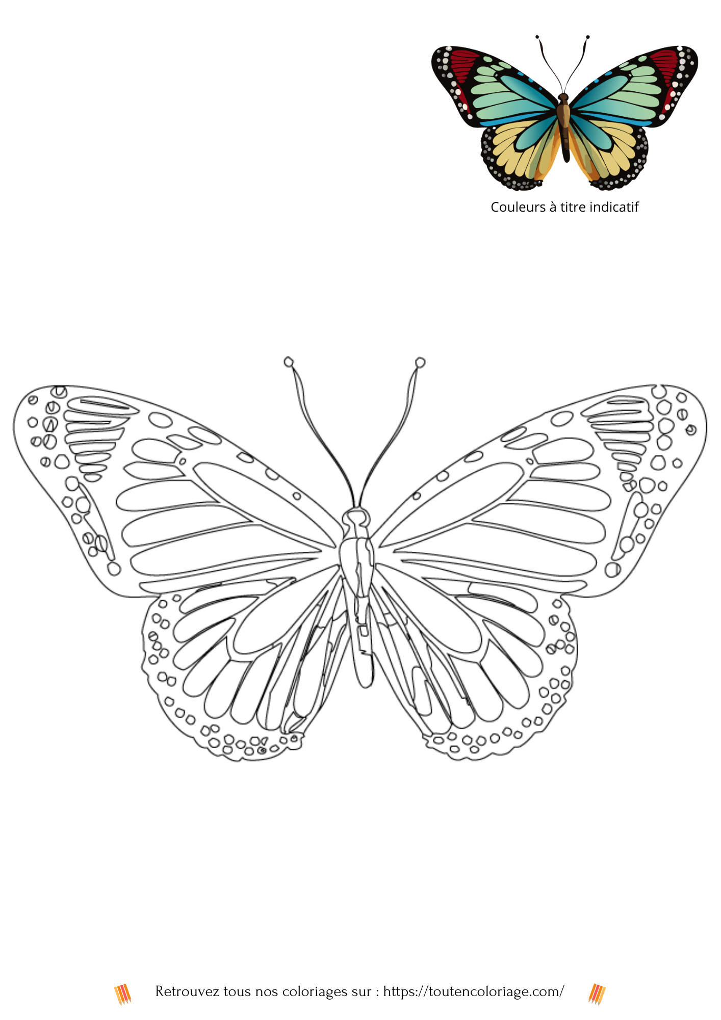 Coloriage a imprimer d'un magnifique papillon aux ailes bleues et rouges a retrouver dans notre livre de coloriage sur les papillons