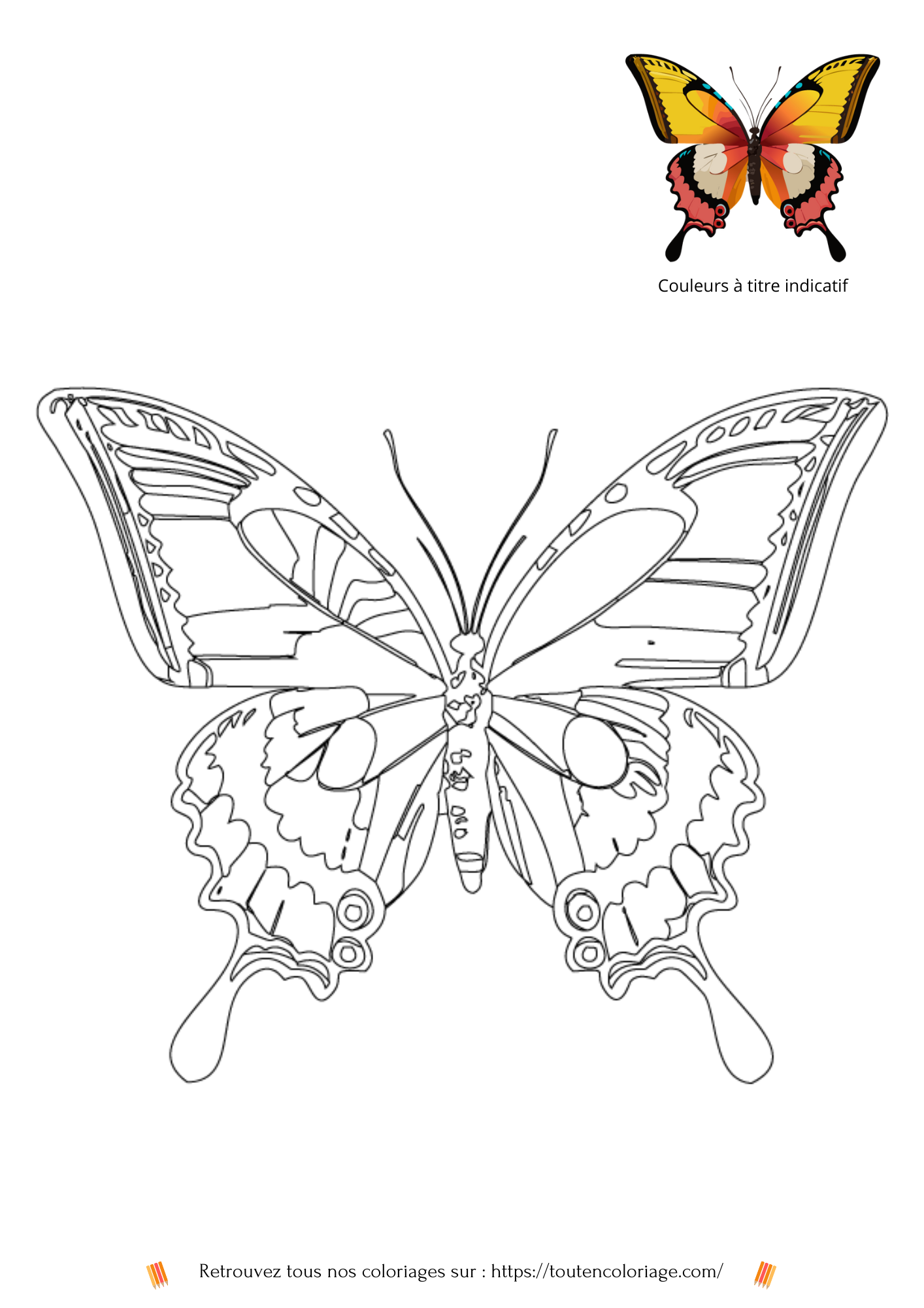 Dessin a colorier d'un magnifique papillon aux ailes de couleurs Jaune et Rose.