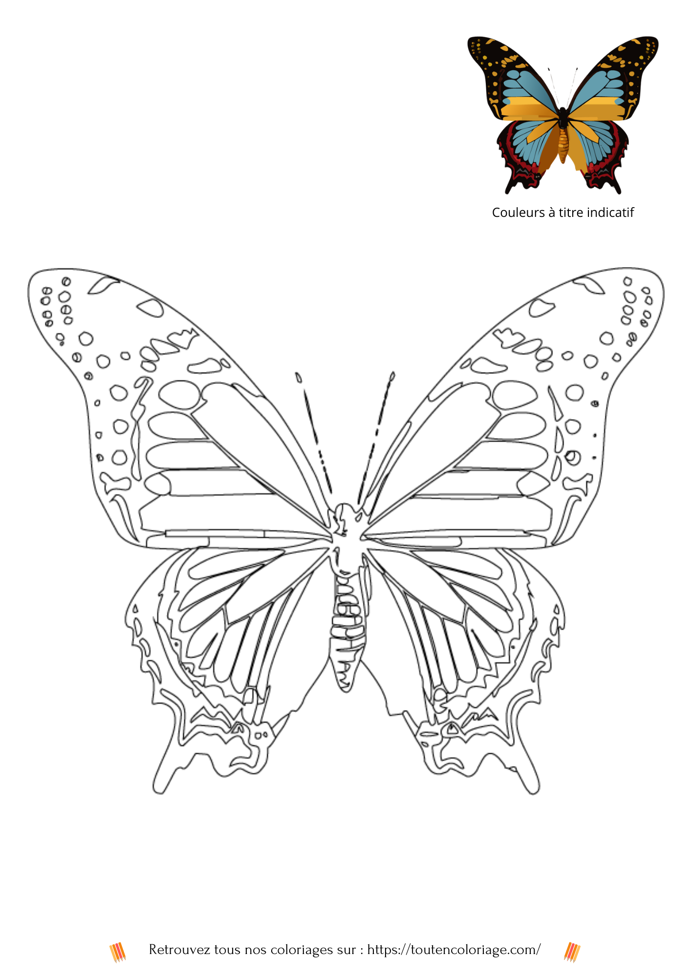 Dessin a colorier d'un magnifique papillon aux ailes bleues claires et noires a retrouver dans notre livre sur les papillons