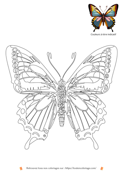 Coloriage a imprimer d'un papillon aux aile rouges et noires