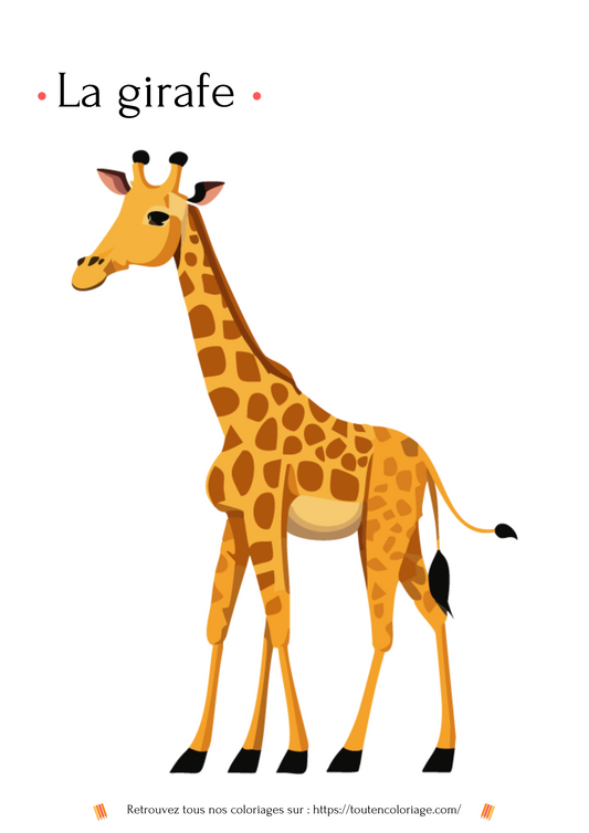 Coloriage d'animaux, Girafe à colorier pour enfants et adultes de tout âges, sur toutencoloriage.com