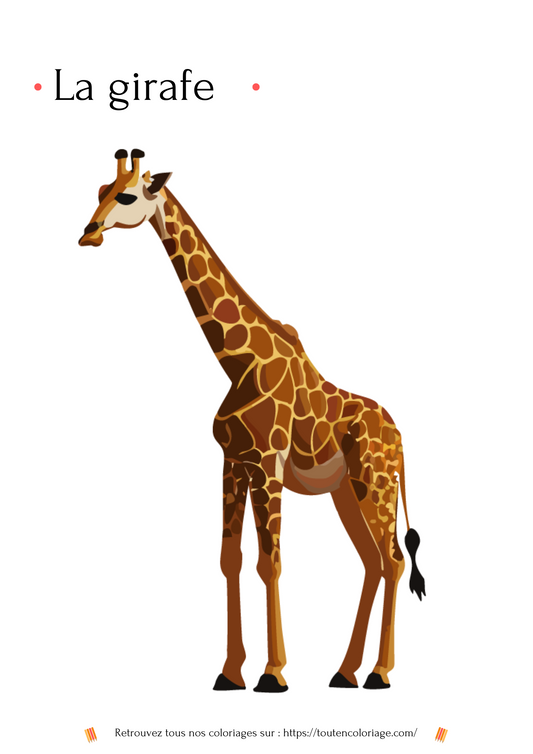 Girafe : Niveau 2 - PDF à Imprimer