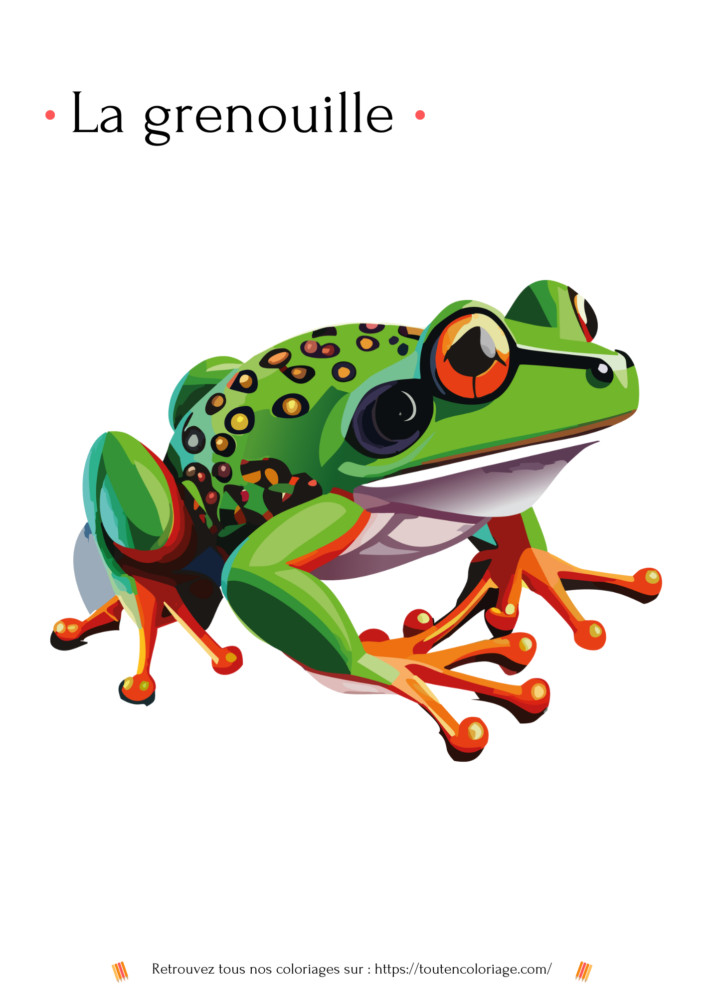 Coloriage d'animaux, Grenouille de niveau 2 à colorier pour enfants et adultes de tout âges, sur toutencoloriage.com