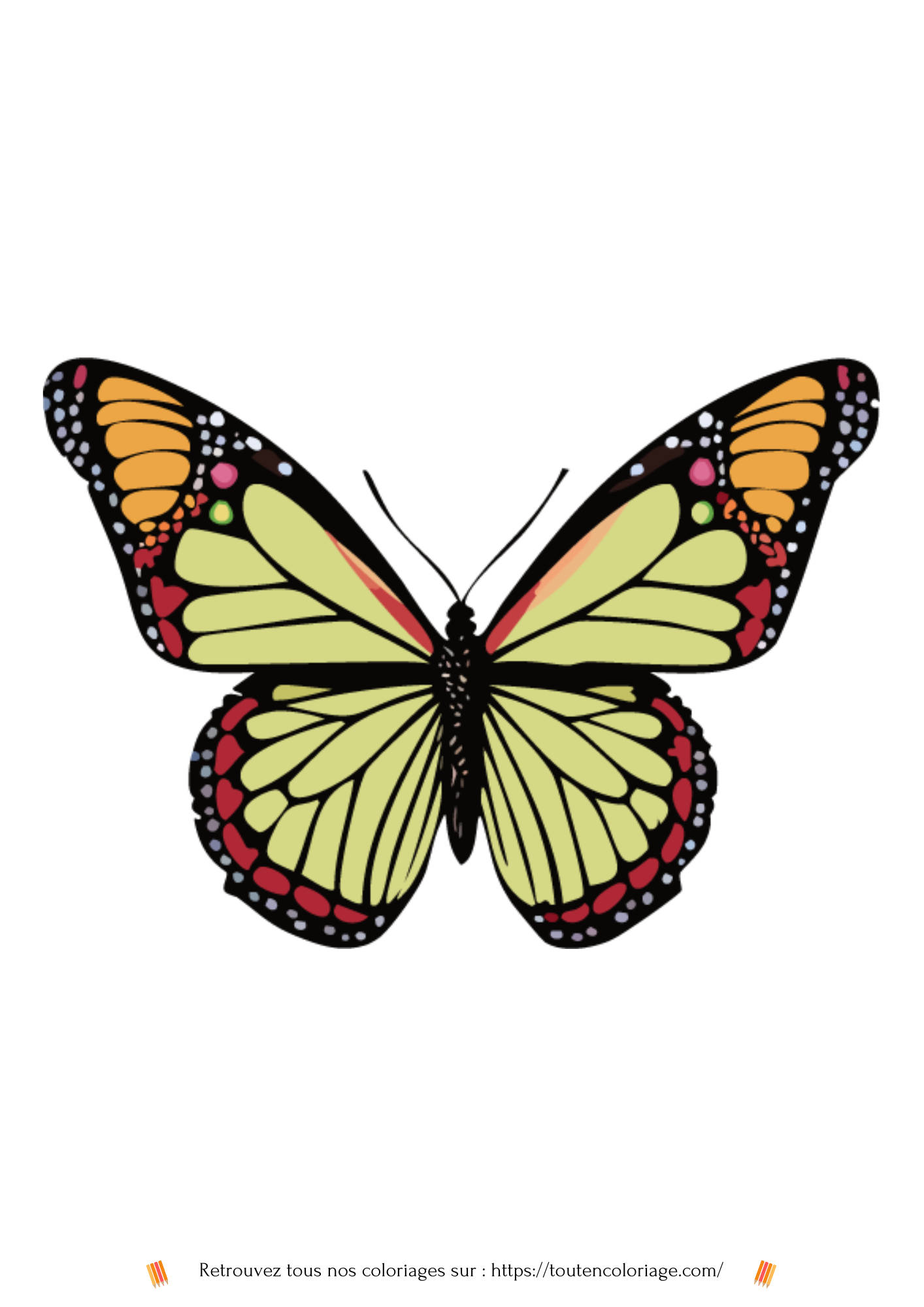 Coloriage a imprimer de papillon de couleur verte te noire pour les enfants.