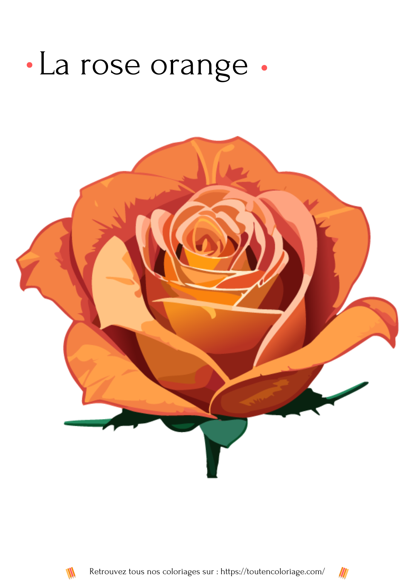 Coloriage de fleurs, rose orangé à colorier pour enfants et adultes de tout âges, PDF téléchargeable sur toutencoloriage.com