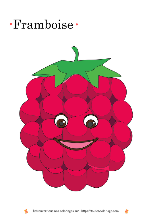 Coloriage facile à imprimer d'une belle Framboise.