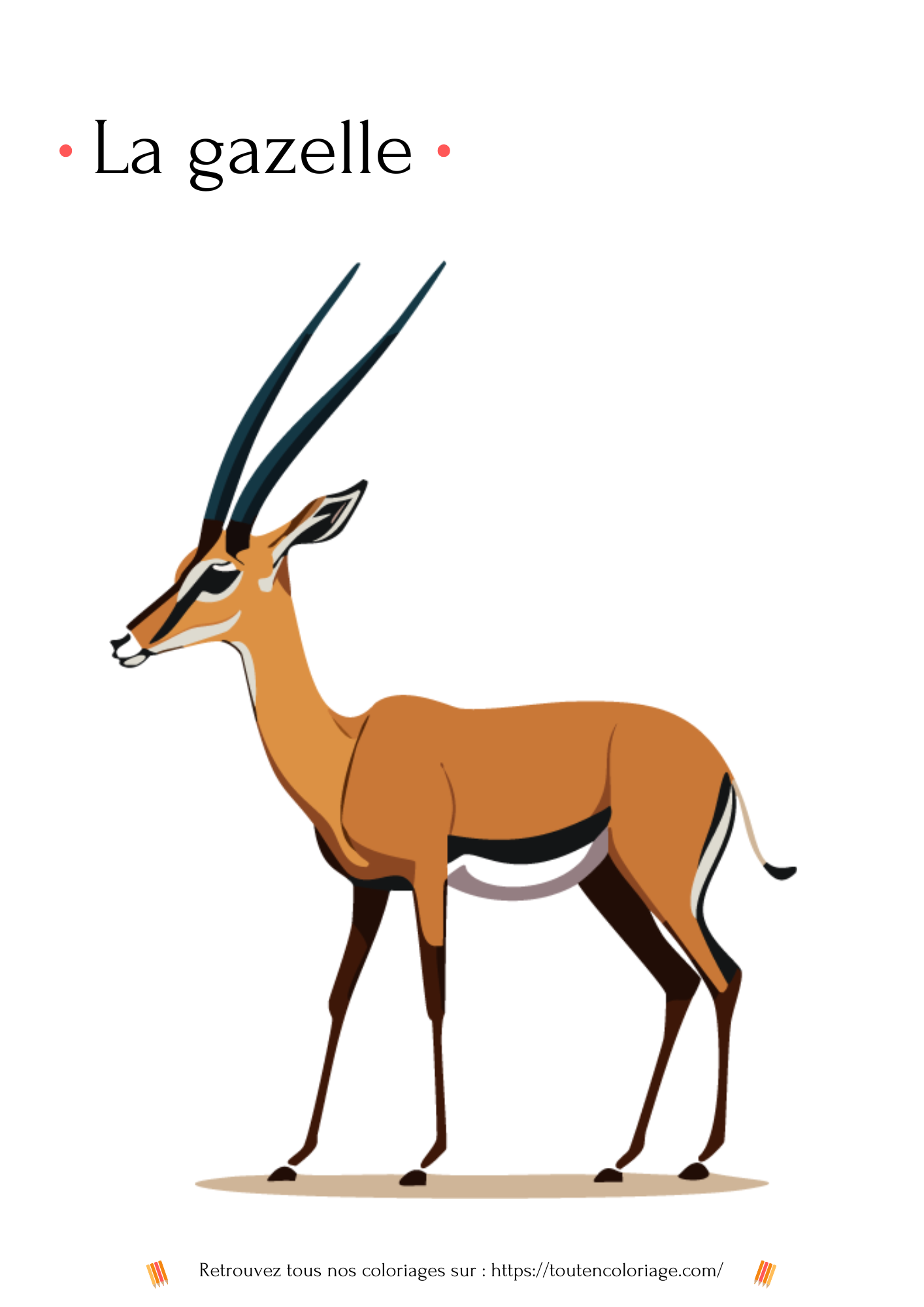 Coloriage a imprimer d'une Gazelle a grande corne a retrouver dans notre livre "les animaux de la savane"