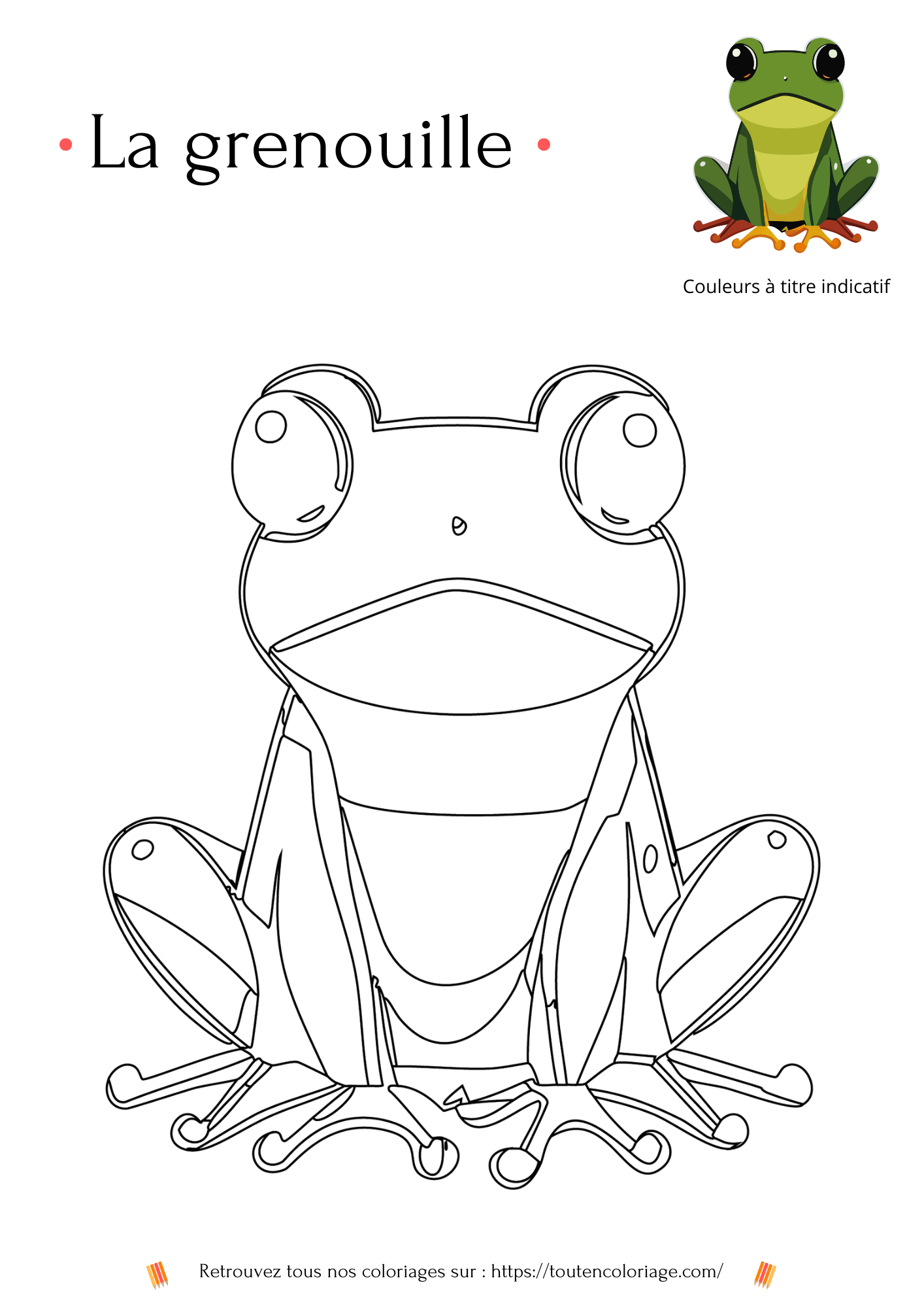 Coloriage à imprimer d'une grenouille a retrouver dans notre livre sur les animaux de la foret