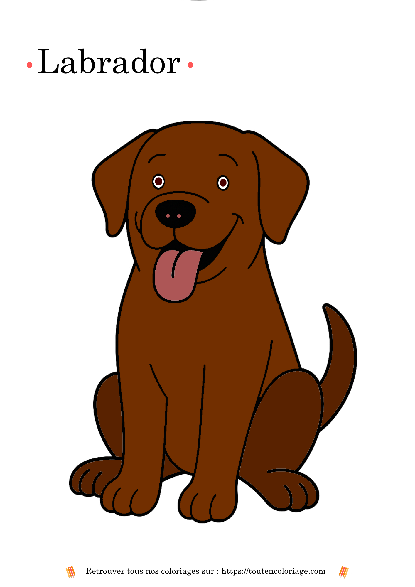 Coloriage de labrador marron à imprimer, dessin d’un chien à colorier