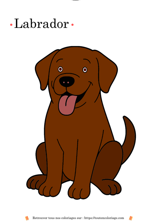 Coloriage de labrador marron à imprimer, dessin d’un chien à colorier