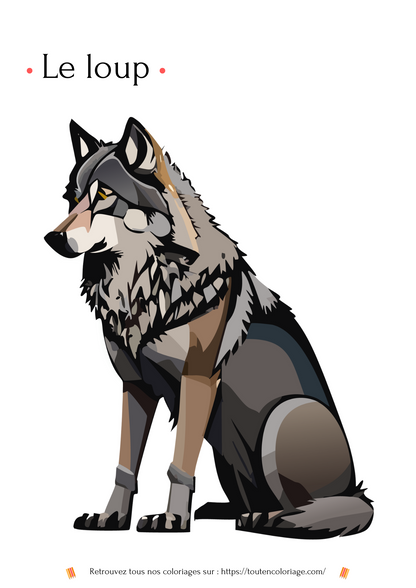 Dessin à colorier d'un superbe Loup gris, noir et marron à retrouver dans notre livre des animaux de la forêt.