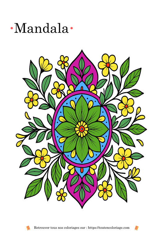 Coloriage de mandala  avec des motifs géométriques détaillés de fleurs