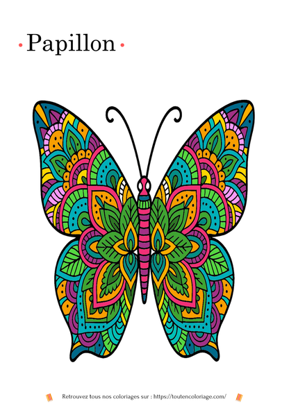 Coloriage a imprimer d'un Mandala coloré en forme de papillon pour les enfants