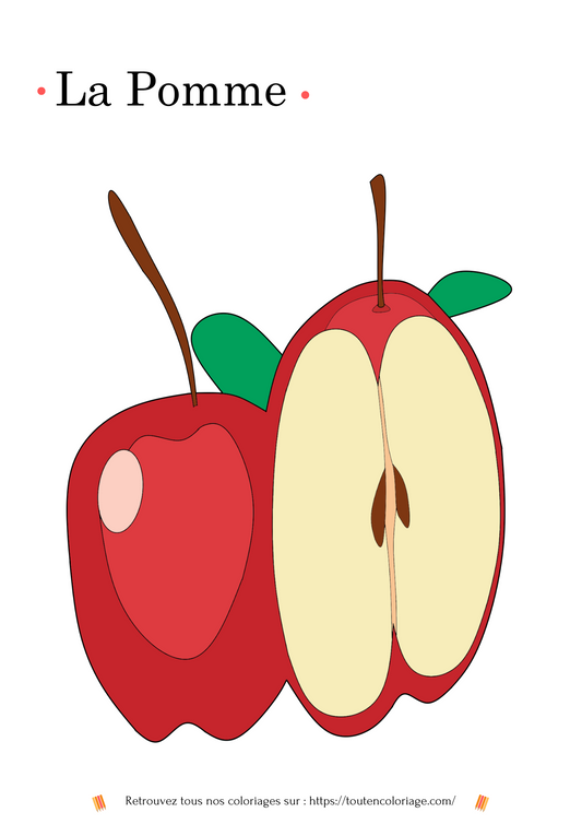 Dessin à colorier de pomme à imprimer pour enfants, dessin éducatif et gratuit, activité ludique
