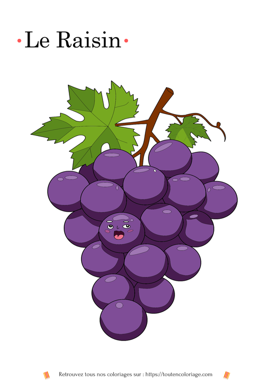 Dessin à colorier d'une jolie grappe de raisins bien rouge pour les enfants et les adultes