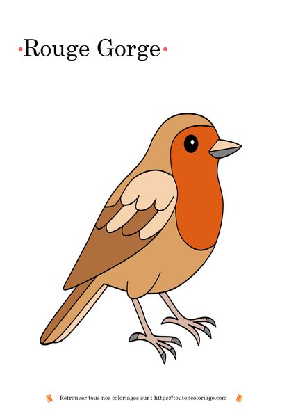 Coloriage de rouge-gorge, dessin détaillé à colorier pour enfants et adultes