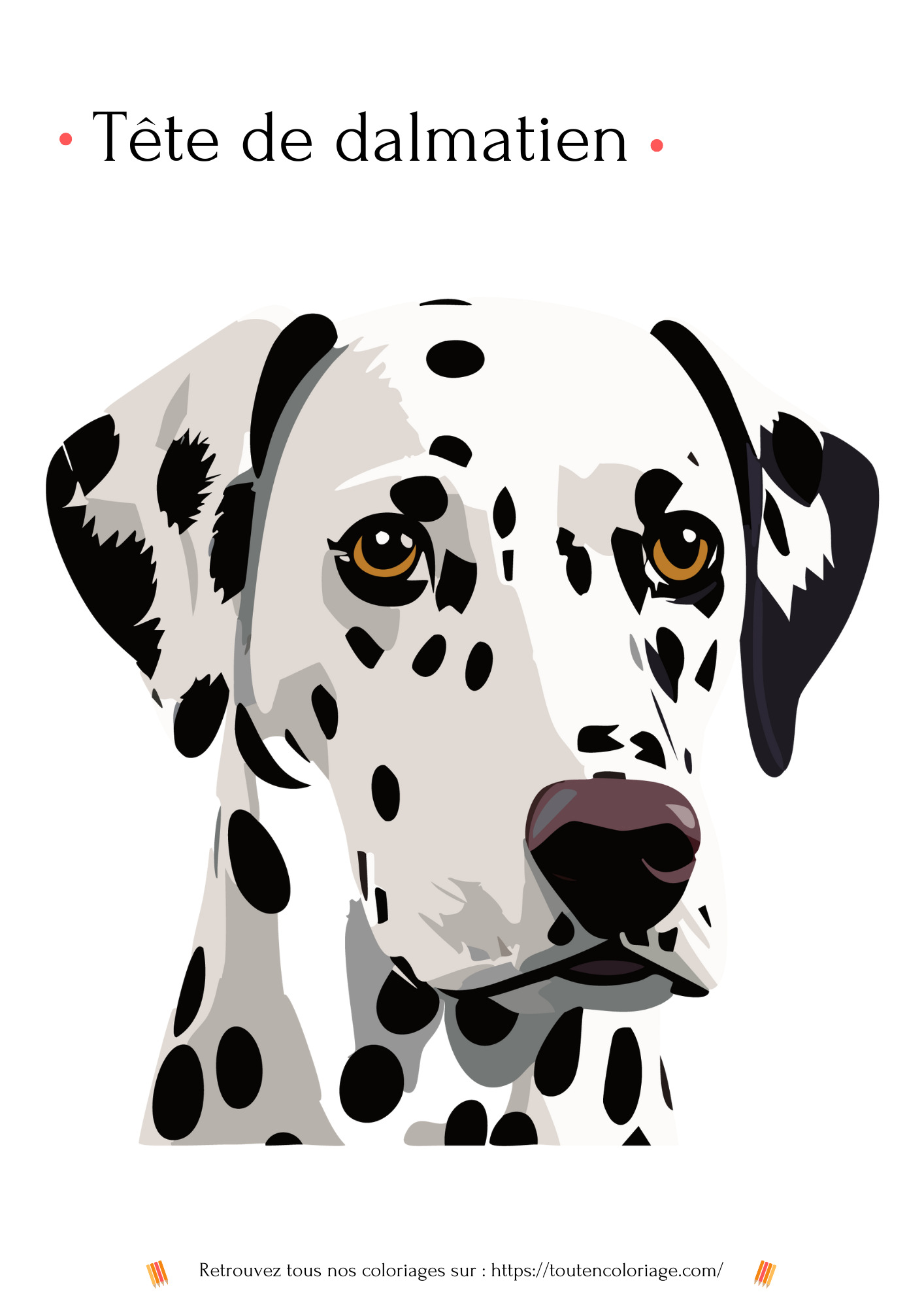 Dessin à colorier d'une jolie tête de Dalmatien de face avec ses taches noires et ses yeux jaunes