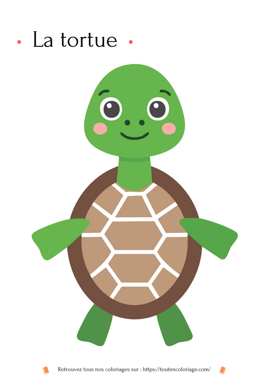 Image de coloriage d'une tortue vertes mignonne avec une carapace ornée de motifs doré.