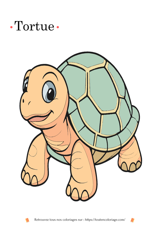 Coloriage d'une tortue souriante avec une carapace à motifs géométriques, contours épais, adapté aux enfants.