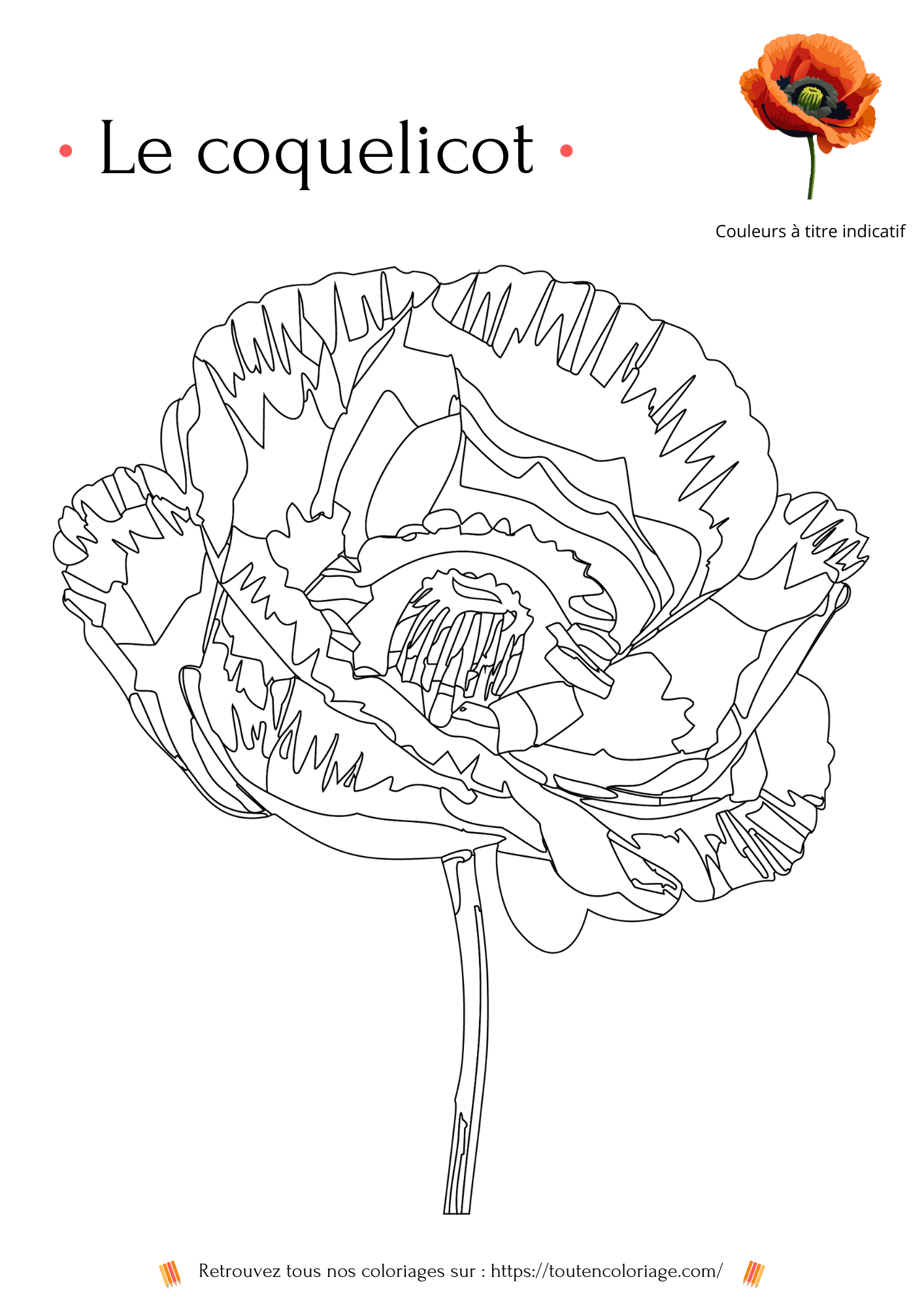 Livre de coloriage sur les fleurs, Lys, Jonquille, Tournesol et autres Roses à colorier pour enfants et adultes de tout âges, PDF téléchargeable sur toutencoloriage.com