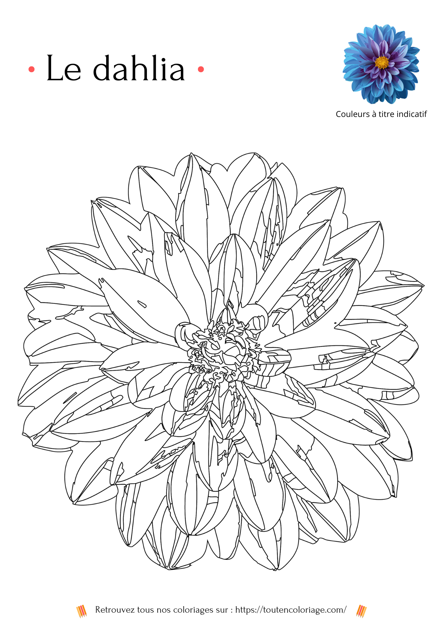 Livre de coloriage sur les fleurs, Lys, Jonquille, Tourneso, Dahlia et autres Roses à colorier pour enfants et adultes de tout âges, PDF téléchargeable sur toutencoloriage.com