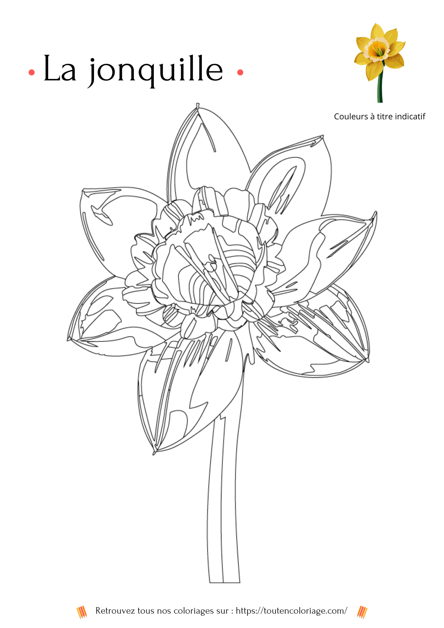 Livre de coloriage sur les fleurs, Lys, Jonquille, Tournesol et autres Roses à colorier pour enfants et adultes de tout âges, PDF téléchargeable sur toutencoloriage.com