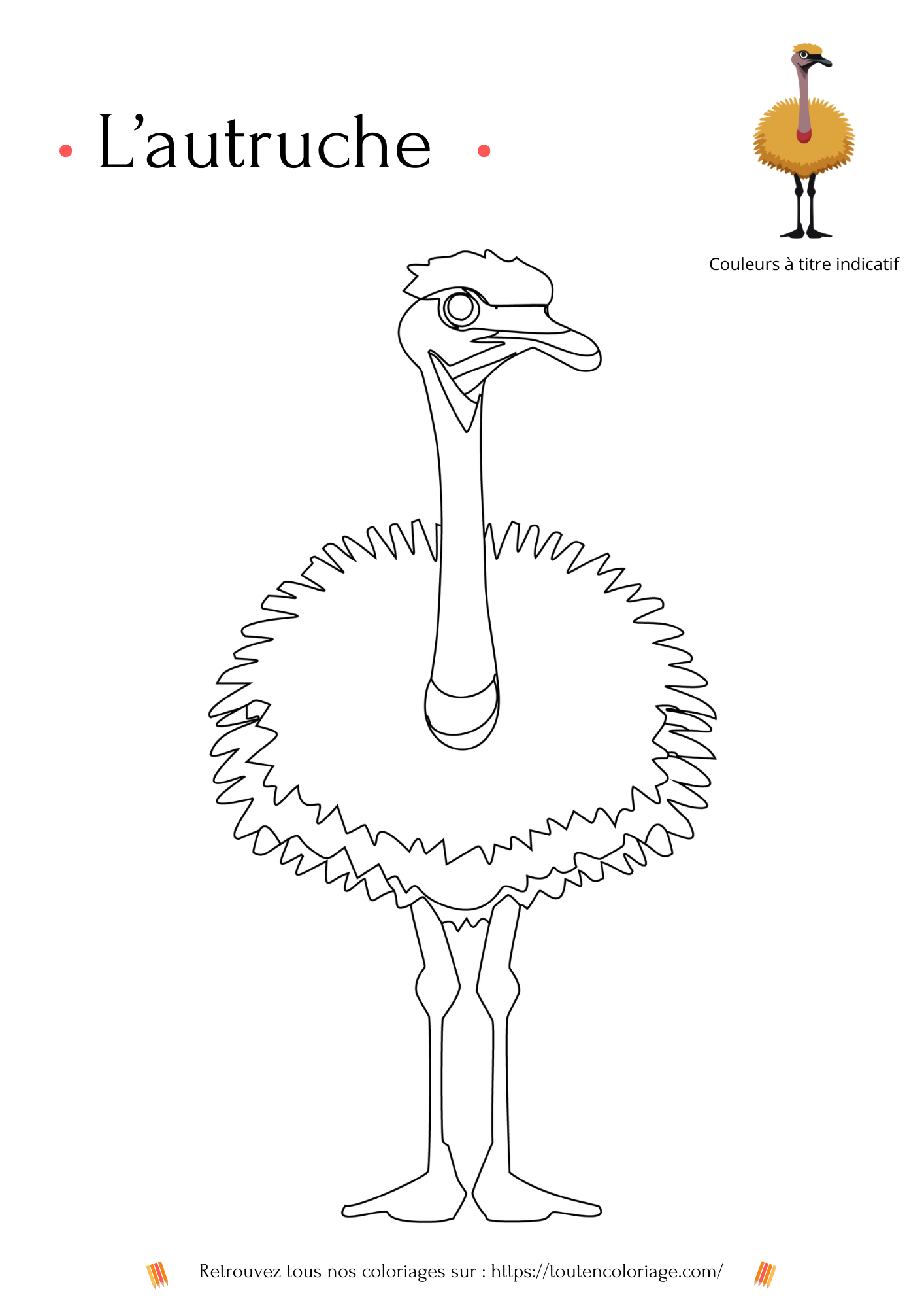 Les animaux de la savane - Niveau 1 - PDF téléchargeable