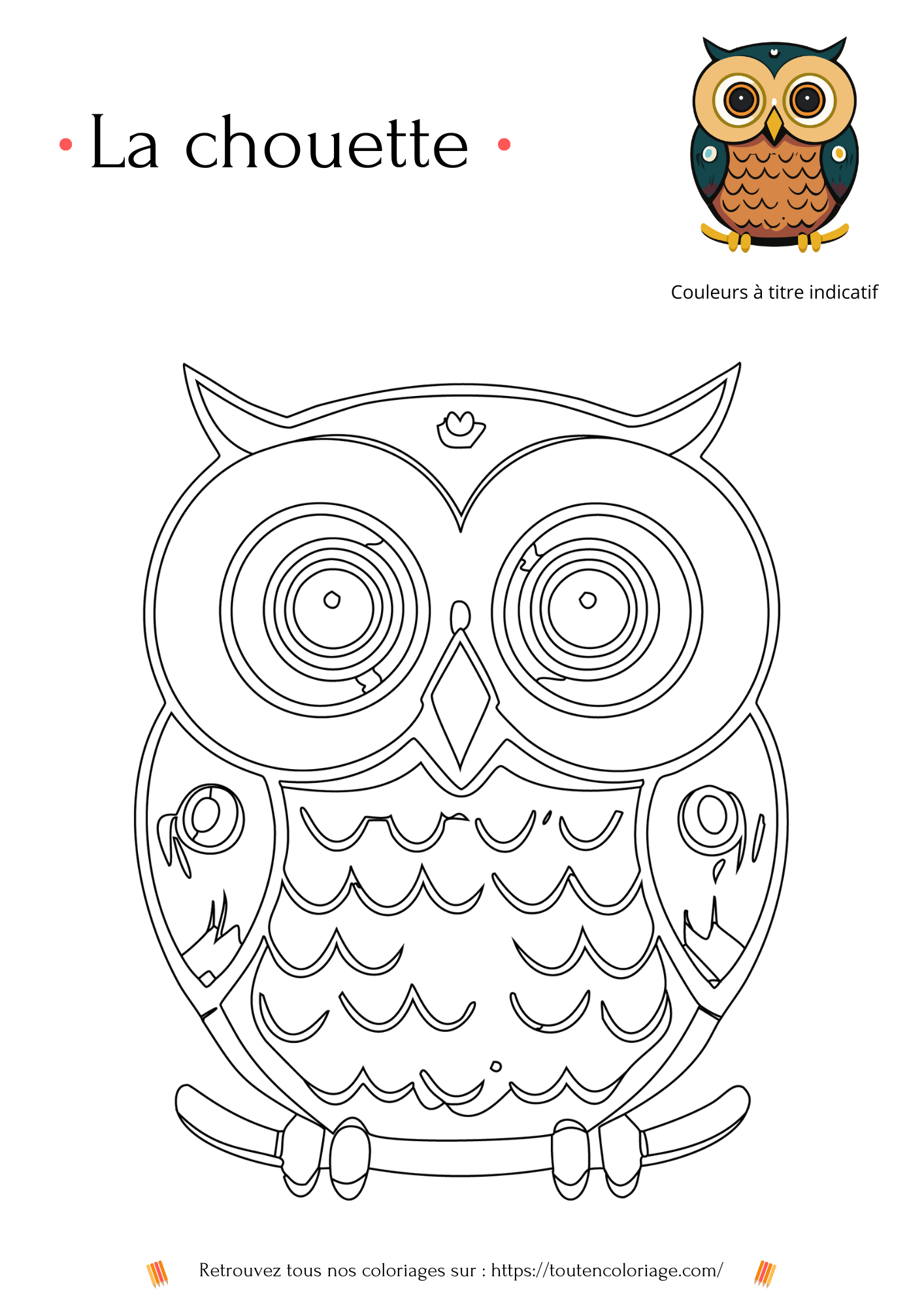 Coloriage des animaux de la forêt, loup, écureuil, hibou à colorier pour enfants et adultes de tout âges, PDF téléchargeable sur tout en coloriage