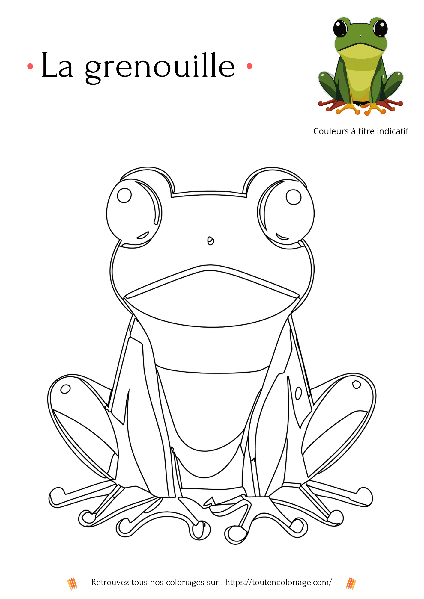 Coloriage d'animaux, Grenouille à colorier pour enfants et adultes de tout âges, sur toutencoloriage.com