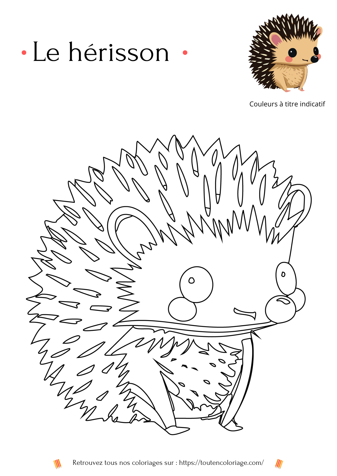 Coloriage des animaux de la forêt, loup, écureuil, hibou, hérisson à colorier pour enfants et adultes de tout âges, PDF téléchargeable sur toutencoloriage.com