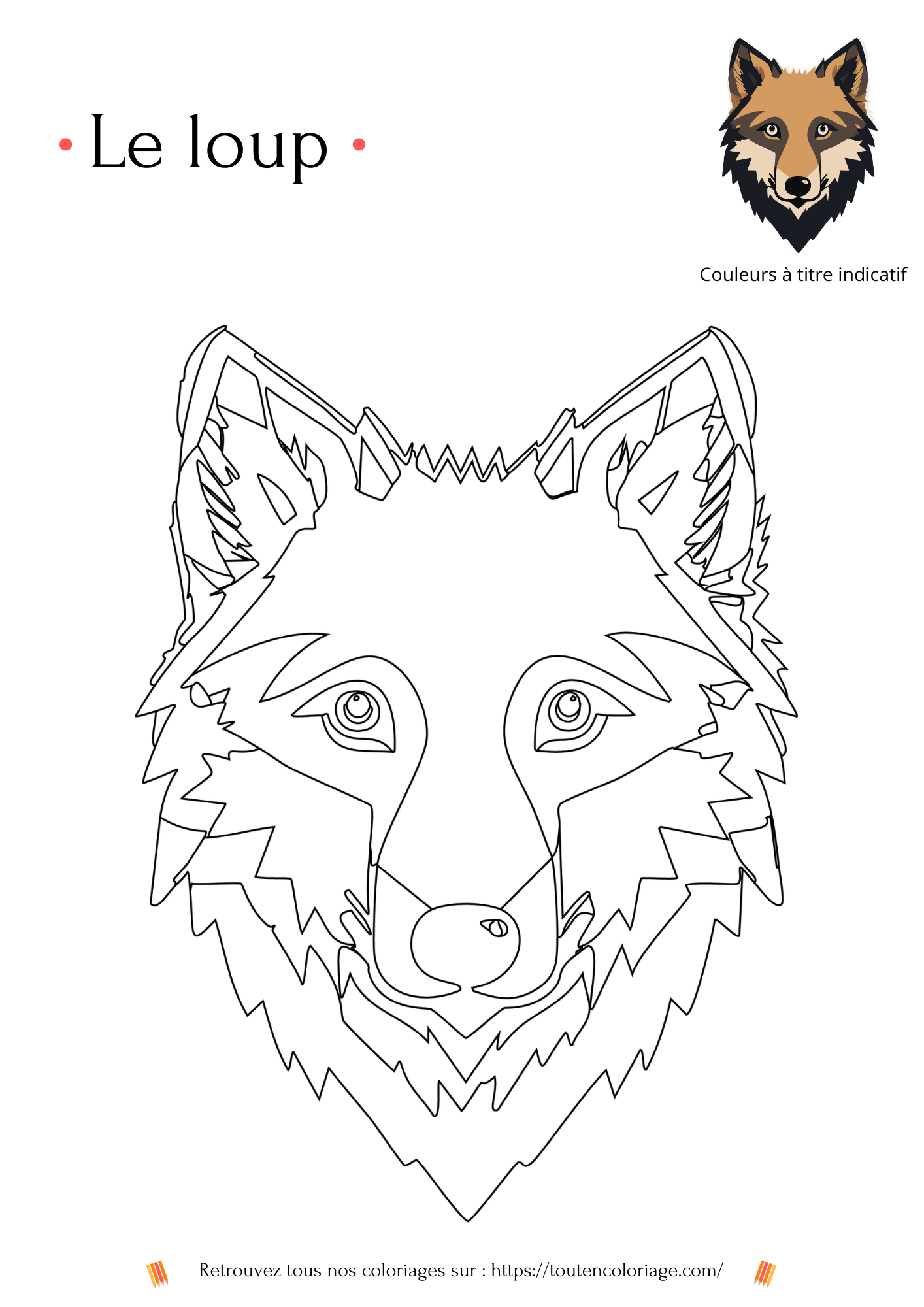 Coloriage des animaux de la forêt, loup, écureuil, hibou à colorier pour enfants et adultes de tout âges, PDF téléchargeable sur toutencoloriage.com