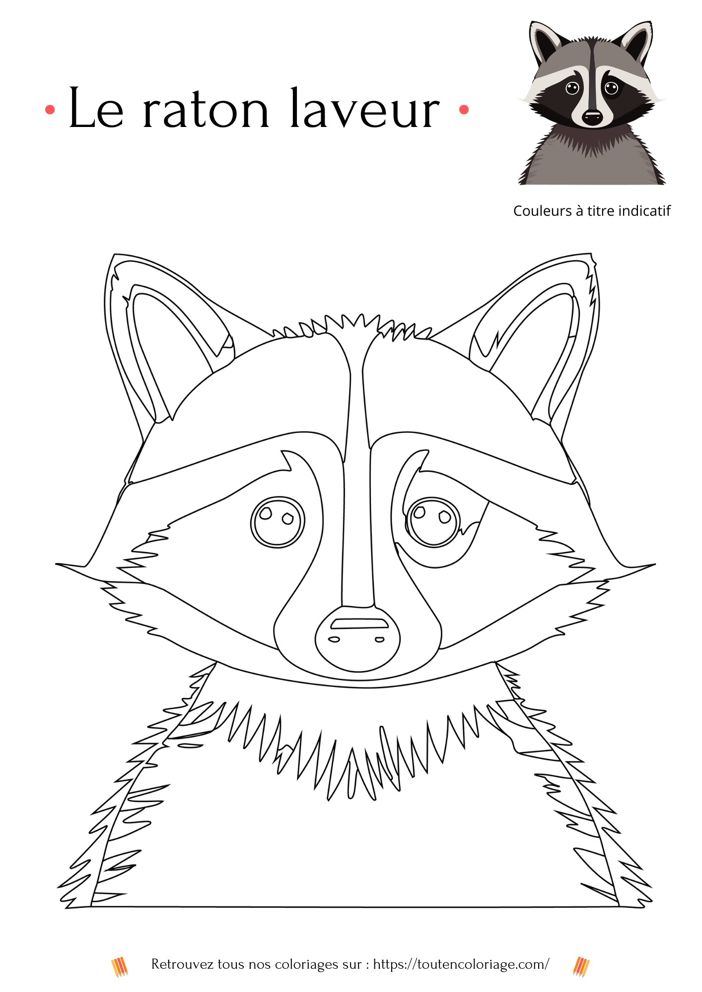 Coloriage des animaux de la forêt, loup, écureuil, hibou à colorier pour enfants et adultes de tout âges, PDF téléchargeable sur toutencoloriage.com