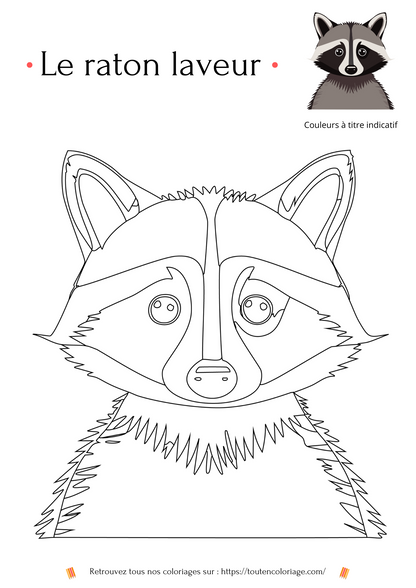 Coloriage des animaux de la forêt, loup, écureuil, hibou à colorier pour enfants et adultes de tout âges, PDF téléchargeable sur toutencoloriage.com