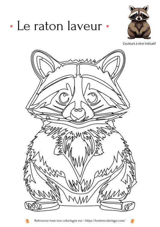 Coloriage d'animaux, Raton laveur de niveau 2 à colorier pour enfants et adultes de tout âges, PDF téléchargeable sur toutencoloriage.com