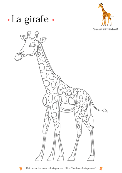 Coloriage d'animaux, Girafe à colorier pour enfants et adultes de tout âges, sur toutencoloriage.com