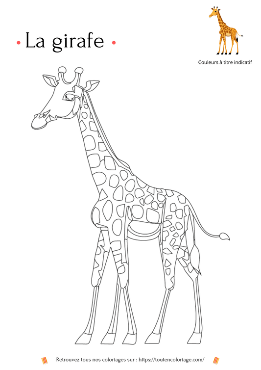 Coloriage de girafe - Niveau 1 - PDF téléchargeable - ToutenColoriage - coloriage