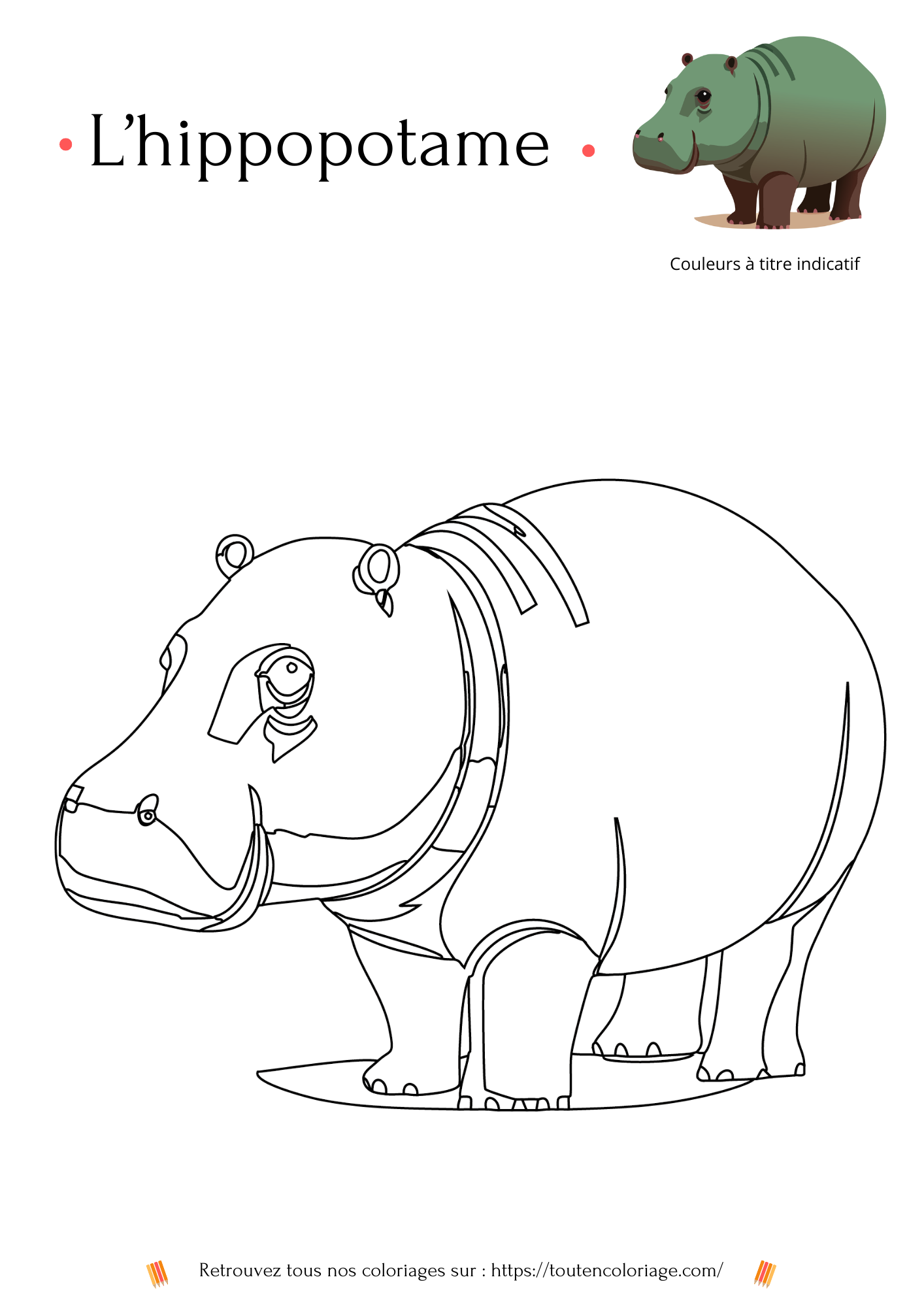 Coloriage d'animaux, Hippopotame à colorier pour enfants et adultes de tout âges, sur toutencoloriage.com