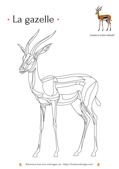 Coloriage d'animaux, Gazelle niveau 2 à colorier pour enfants et adultes de tout âges, sur toutencoloriage.com