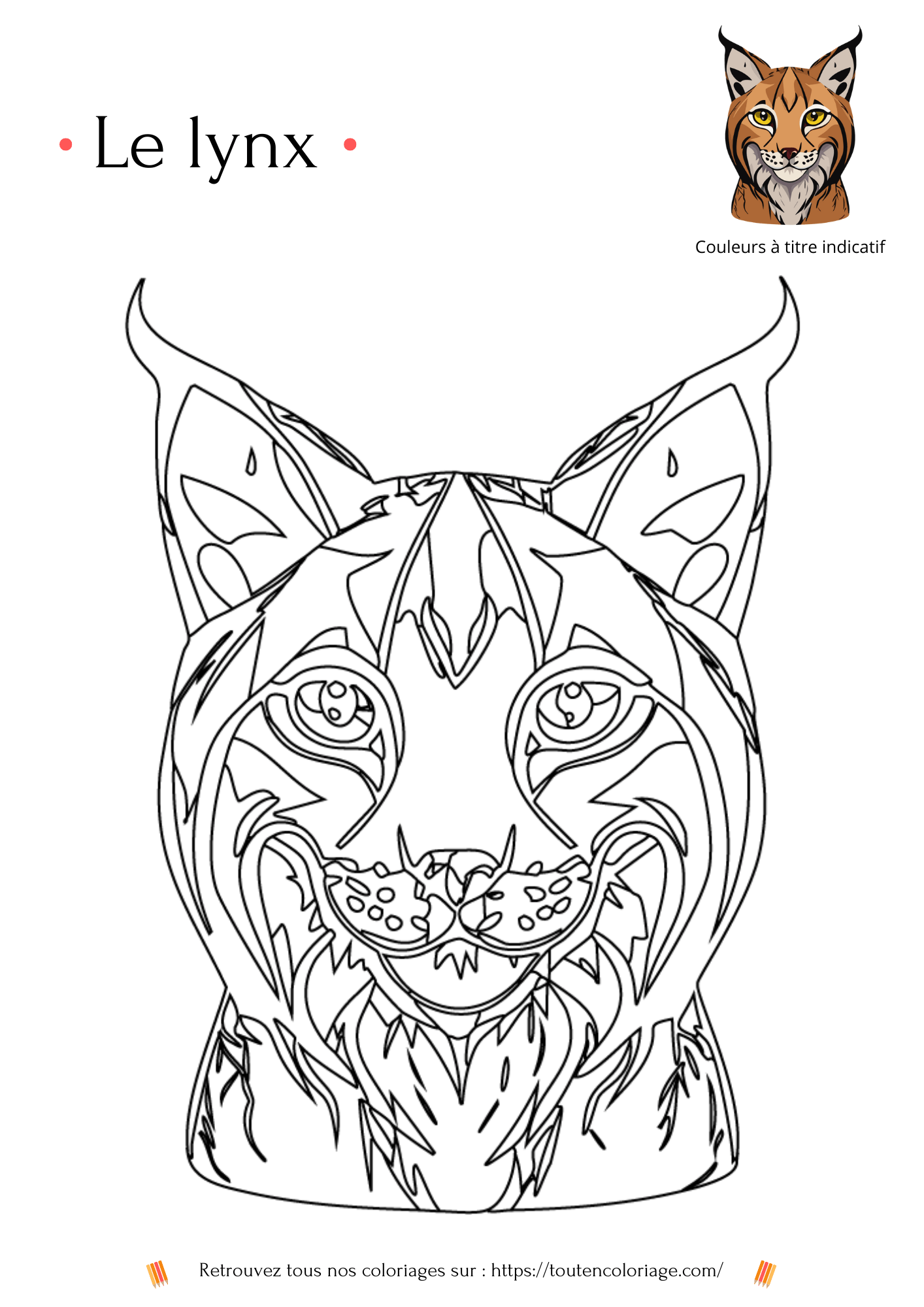 Coloriage d'animaux, Lynx de niveau 2 à colorier pour enfants et adultes de tout âges, PDF téléchargeable sur toutencoloriage.com