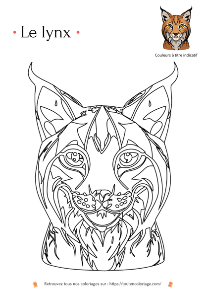 Coloriage d'animaux, Lynx de niveau 2 à colorier pour enfants et adultes de tout âges, PDF téléchargeable sur toutencoloriage.com